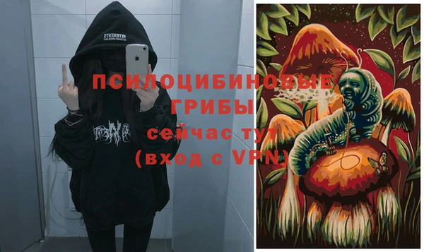 марки lsd Ладушкин