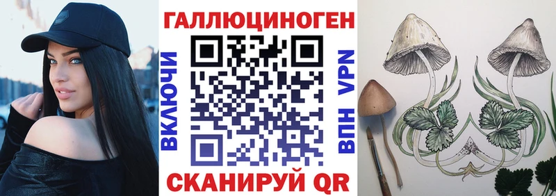 Купить где Горняк Псилоцибиновые грибы GOLDEN TEACHER